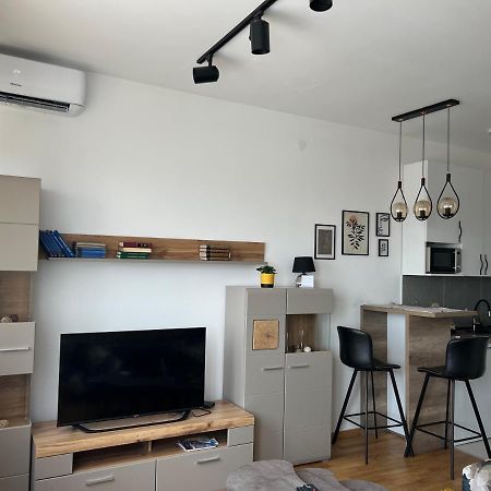 Apartment Charlie Private Parking Novi Sad Dış mekan fotoğraf