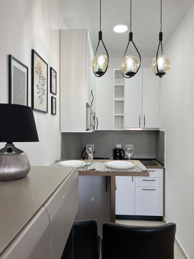 Apartment Charlie Private Parking Novi Sad Dış mekan fotoğraf