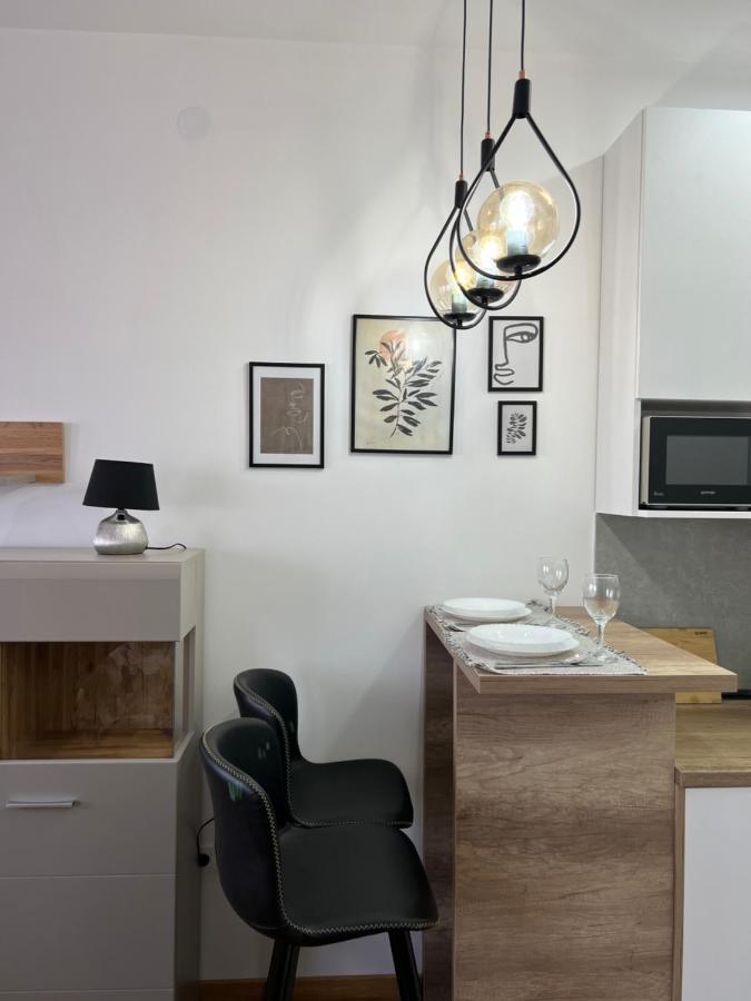 Apartment Charlie Private Parking Novi Sad Dış mekan fotoğraf