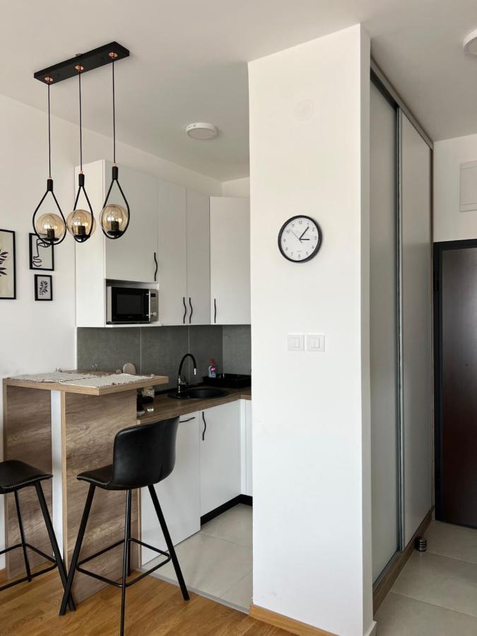 Apartment Charlie Private Parking Novi Sad Dış mekan fotoğraf